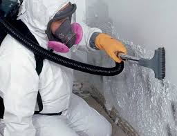 Trusted Claryville, KY Mold Removal & Remediation Experts